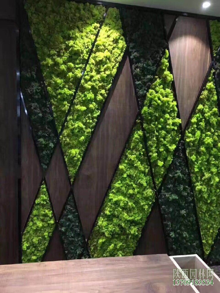 福建仿真綠植墻,綠植墻